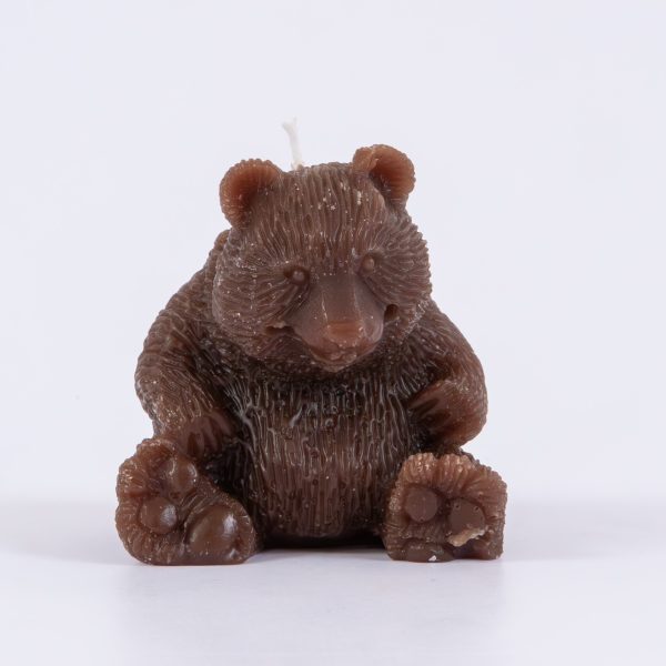 Oso de Somiedo