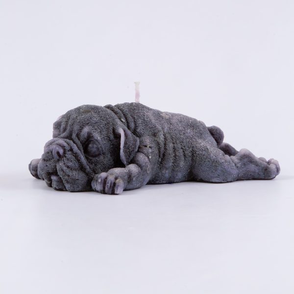 Perro bulldog tumbado
