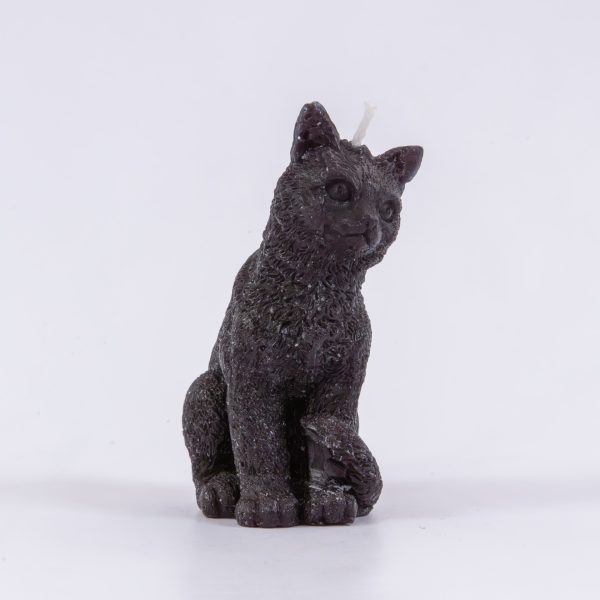 Gato mini negro