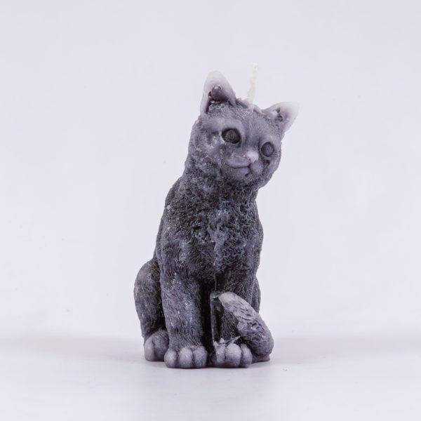 Gato mini gris