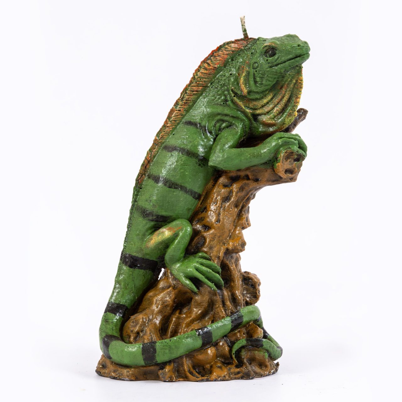 Iguana
