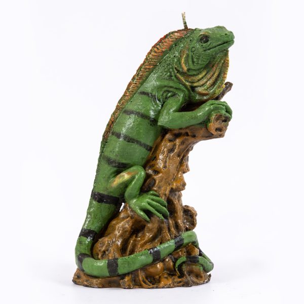 Iguana