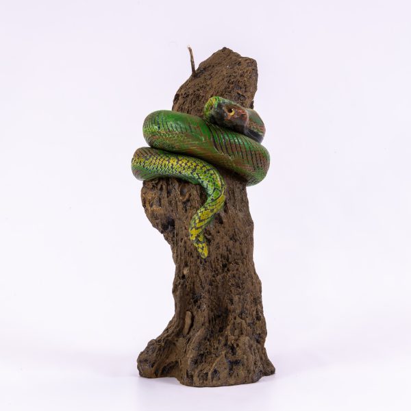 Serpiente en tronco