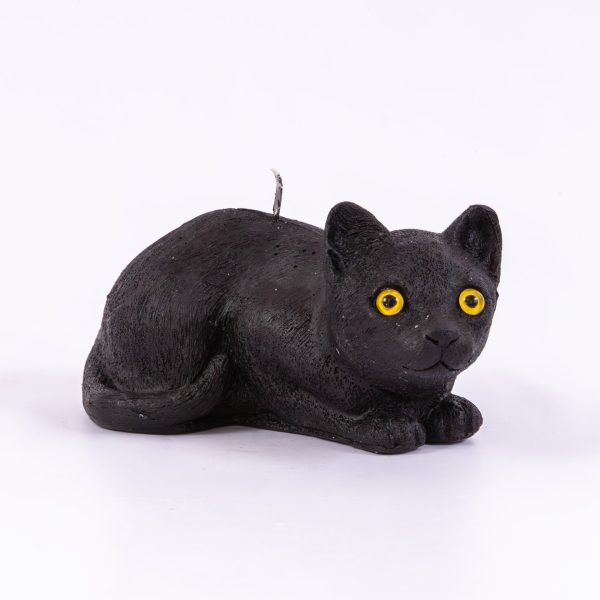 Gato grande negro